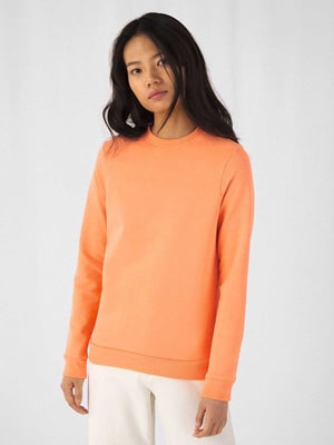  https://www.tshirtpolofelpe.com/catalog/felpe_BeC/images_ante/BCWW02W