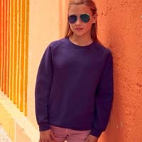 https://www.tshirtpolofelpe.com/catalog/felpe_fruit-of-the-loom_premium/images_mini/FR620330