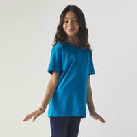 https://www.tshirtpolofelpe.com/catalog/t-shirt-bs-black-spider/images_mini/BSK050