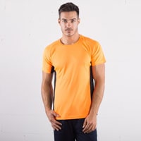 https://www.tshirtpolofelpe.com/catalog/t-shirt-sprintex/images_mini/SP101